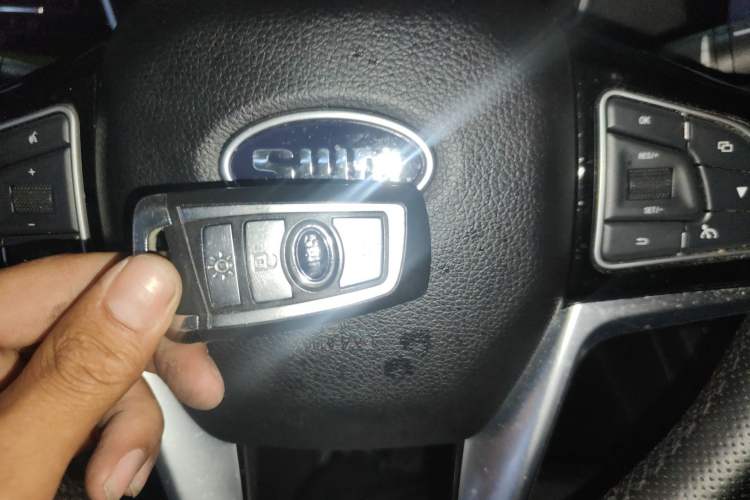 Used SWM G01 2019 F Version 1.5T Automatic Diamond Powder Edition China VI Vehicle Key