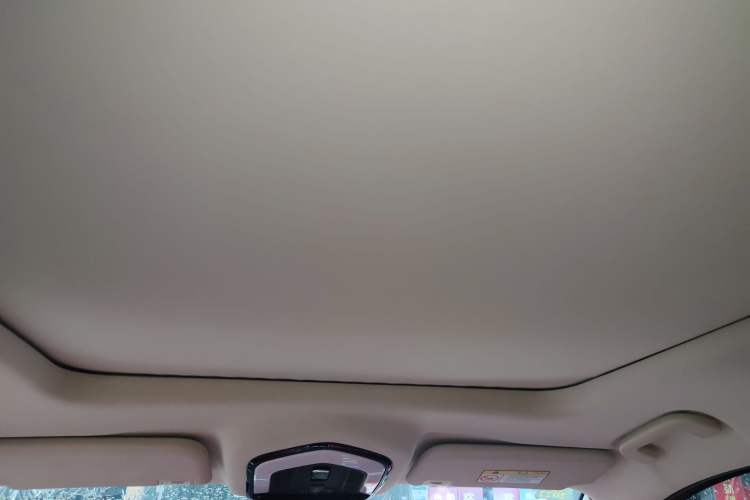 Used SWM G05 2019 1.5T Automatic Luxury Model Headliner