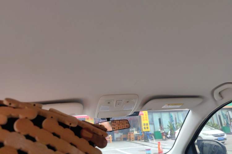 Used SWM G05 2019 2.0L Manual Standard Model Headliner
