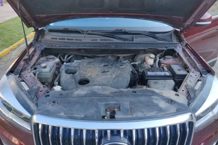 Used SWM G05 2019 2.0L Manual Luxury Edition Engine Bay