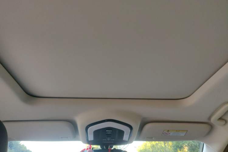 Used SWM G05 2019 2.0L Manual Luxury Edition Headliner