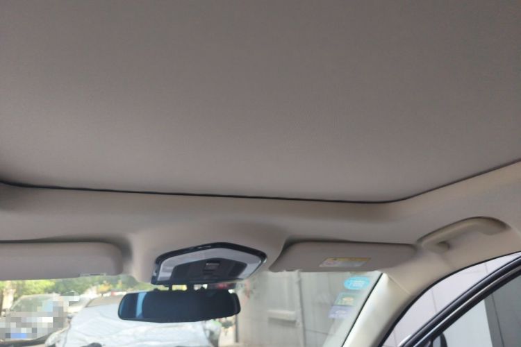 Used SWM G05 2019 1.5T Automatic Luxury Model Headliner