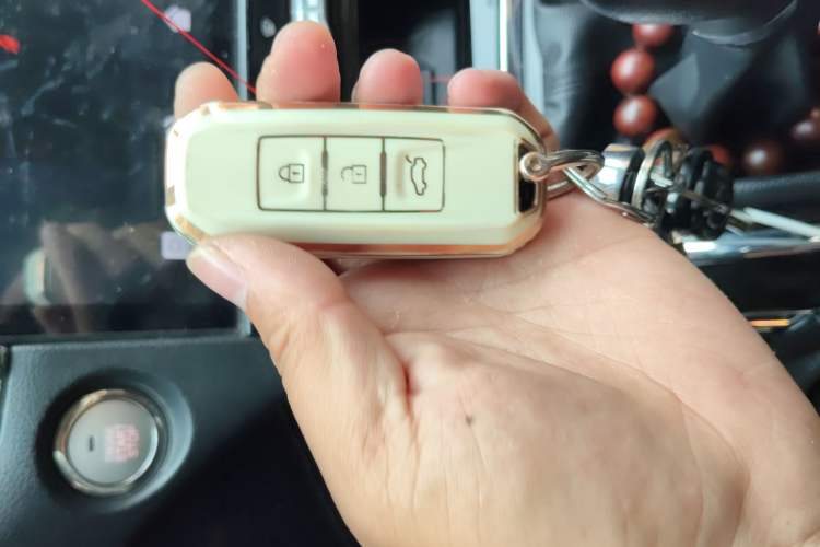 Used SWM G05 2019 2.0L Manual Luxury Edition Vehicle Key