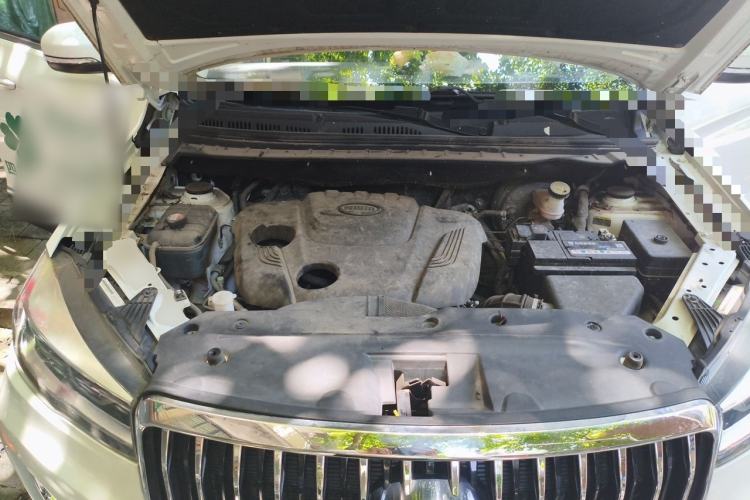 Used SWM G05 2019 2.0L Manual Luxury Edition Engine Bay