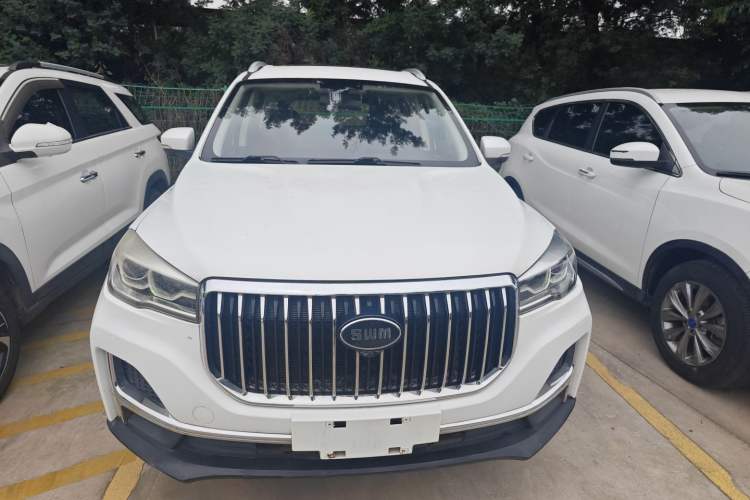 Used SWM G05 2019 2.0L Manual Luxury Edition Exterior 1