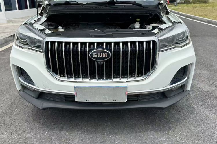 Used SWM G05 2019 1.5T Automatic Luxury Model Exterior 8