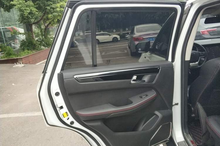 Used SWM G05 2019 1.5T Automatic Luxury Model Left Rear Door Interior