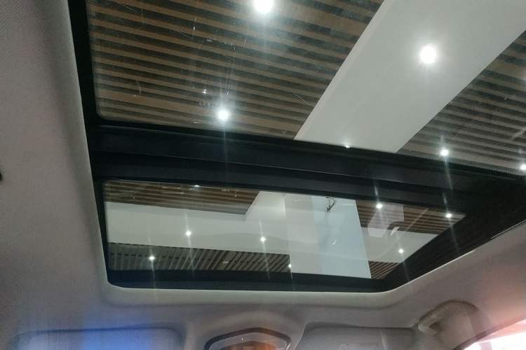 Used SWM G05 2021 PRO 1.5T Automatic Luxury Model 7 Seats Headliner