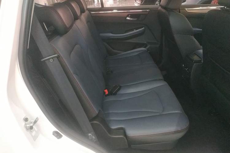 Used SWM G05 2021 PRO 1.5T Automatic Luxury Model 7 Seats Right Rear Seat