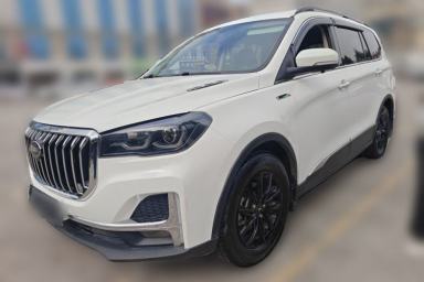 Used SWM G05 2021 PRO 2.0L Manual Elite 7-seater
