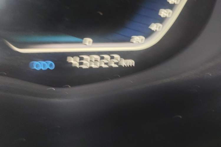 Used SWM Iron Man 2021 1.5T Manual Silver Edition Odometer Close Up