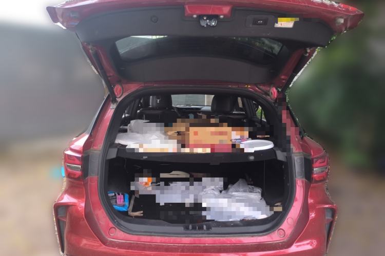 Used SWM Iron Man 2021 1.5T Automatic Star Edition Trunk