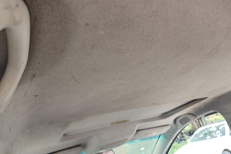 Used SWM X3 2018 1.5L Manual Fashion Model Headliner