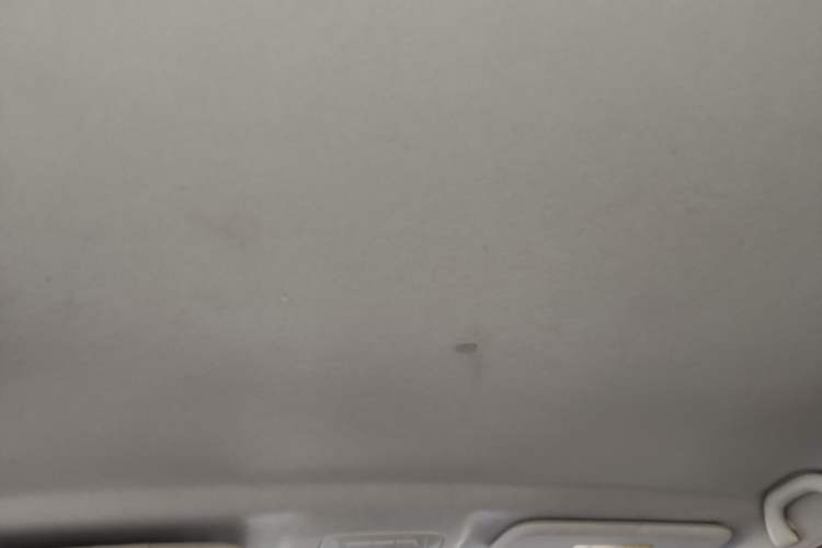 Used SWM X3 2022 1.5L Manual Comfort Edition Headliner