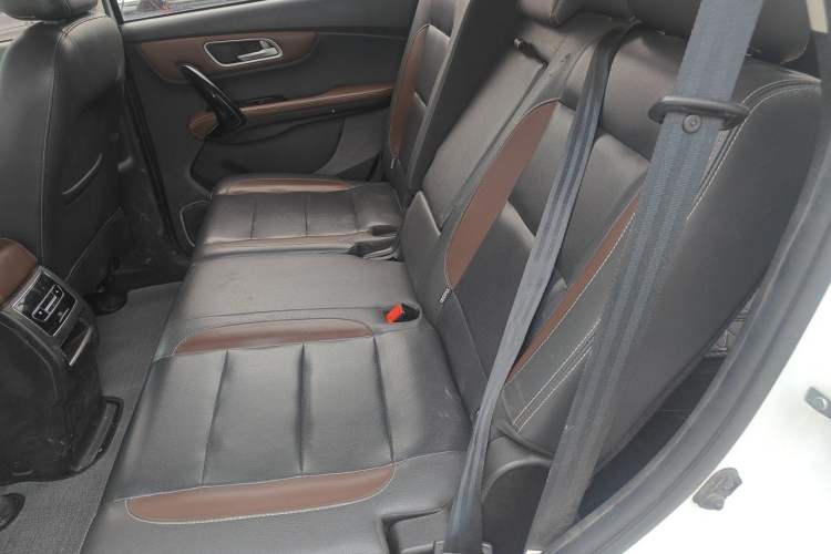 Used SWM X7 2017 1.5T Automatic Smart Enjoyment Version 7 Seats Left Rear Seat