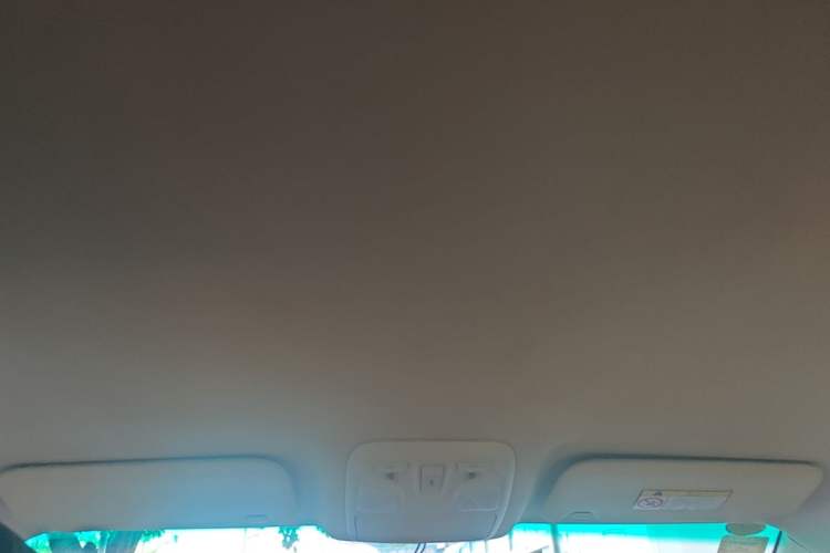 Used SWM X7 2020 2.0L Manual Champion Edition 7 Seats Headliner
