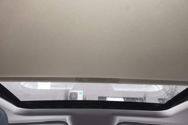 Used Tank 300 2021 Off-Road Edition 2.0T Conqueror Headliner