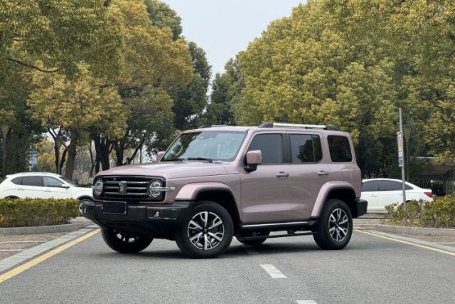 Used Tank 300 2021 City Edition 2.0T—Truly Stylish