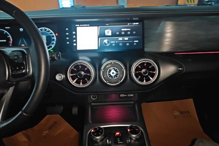 Used Tank 300 2021 Off-Road Edition 2.0T Conqueror Audio And AC Panel