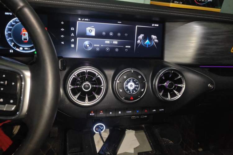 Used Tank 300 2021 Off-Road Edition 2.0T Conqueror Audio And AC Panel