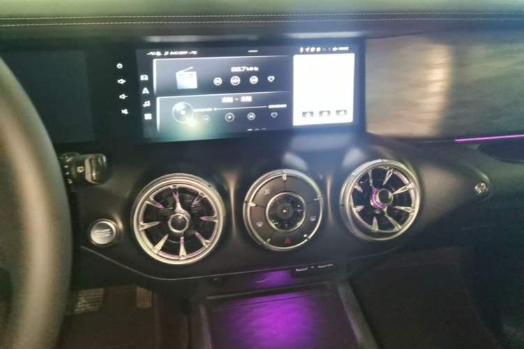 Used Tank 300 2021 Off-Road Edition 2.0T Challenger Audio And AC Panel
