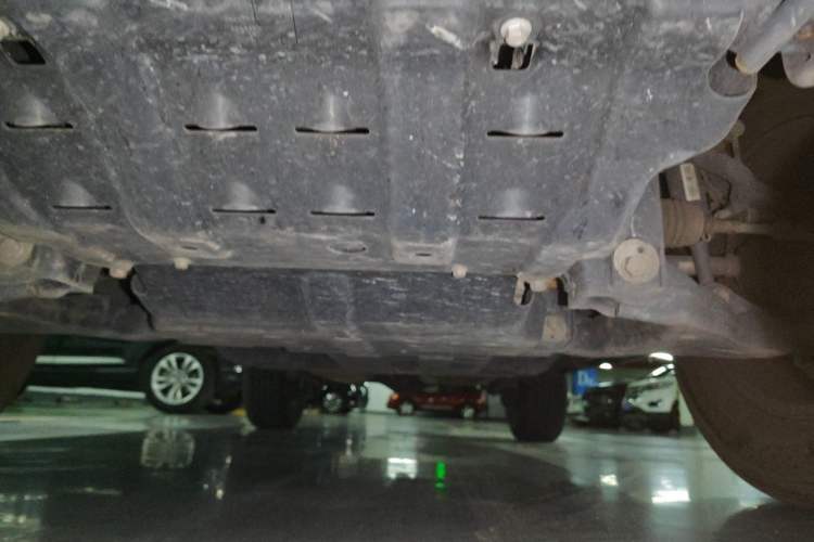 Used Tank 300 2021 Off-Road Edition 2.0T Conqueror Chassis Front