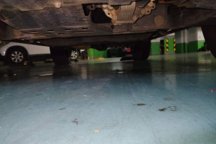 Used Tank 300 2021 City Edition 2.0T—Truly Stylish Chassis Front