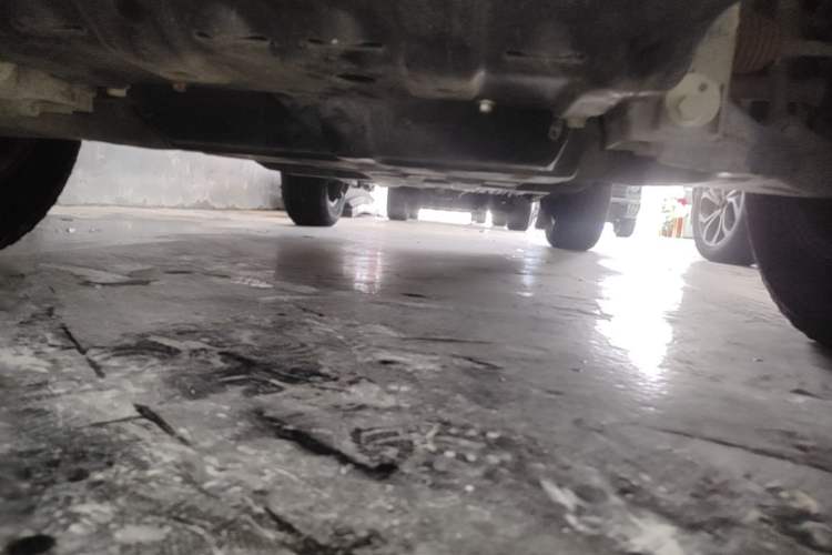 Used Tank 300 2021 Off-Road Edition 2.0T Conqueror Chassis Front