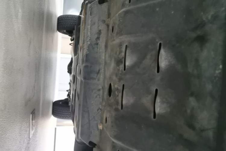 Used Tank 300 2021 Off-Road Edition 2.0T Conqueror Chassis Front