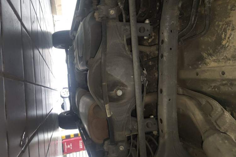 Used Tank 300 2021 City Edition 2.0T—Truly Stylish Chassis Rear