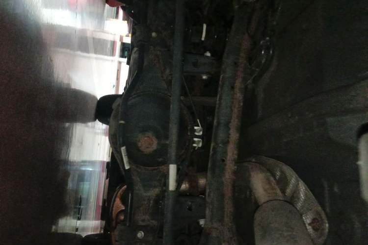 Used Tank 300 2021 Off-Road Edition 2.0T Conqueror Chassis Rear