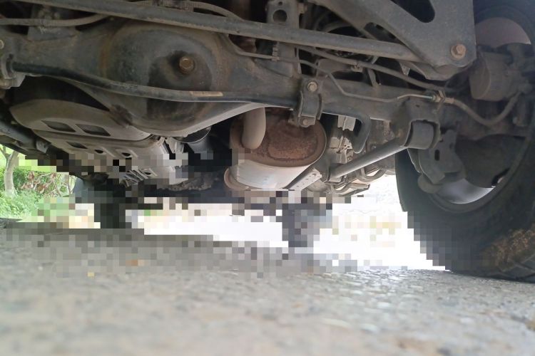 Used Tank 300 2021 Off-Road Edition 2.0T Conqueror Chassis Rear