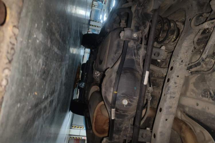 Used Tank 300 2021 City Edition 2.0T Essential Model Chassis Rear