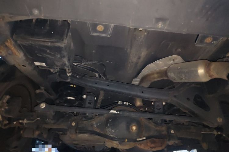 Used Tank 300 2021 Off-Road Edition 2.0T Challenger Chassis Rear