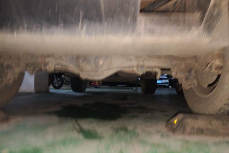 Used Tank 300 2021 Off-Road Edition 2.0T Conqueror Chassis Rear