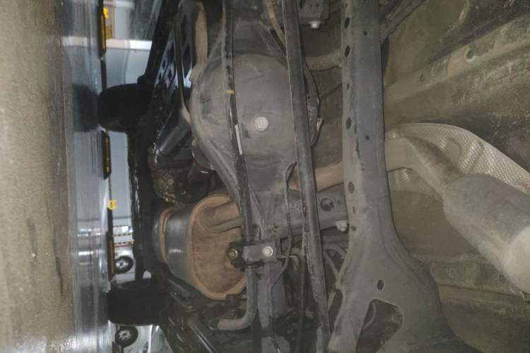 Used Tank 300 2021 Off-Road Edition 2.0T Conqueror Chassis Rear