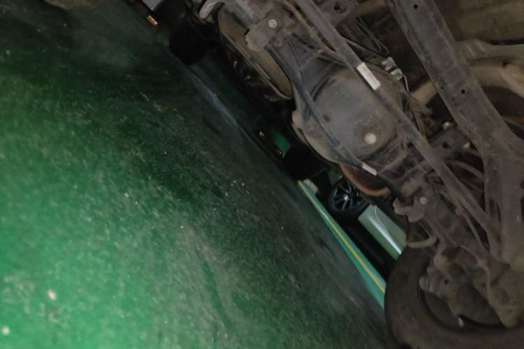 Used Tank 300 2021 Off-Road Edition 2.0T Conqueror Chassis Rear