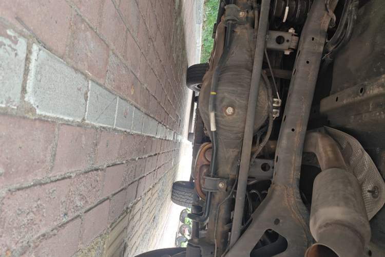 Used Tank 300 2021 Off-Road Edition 2.0T Conqueror Chassis Rear