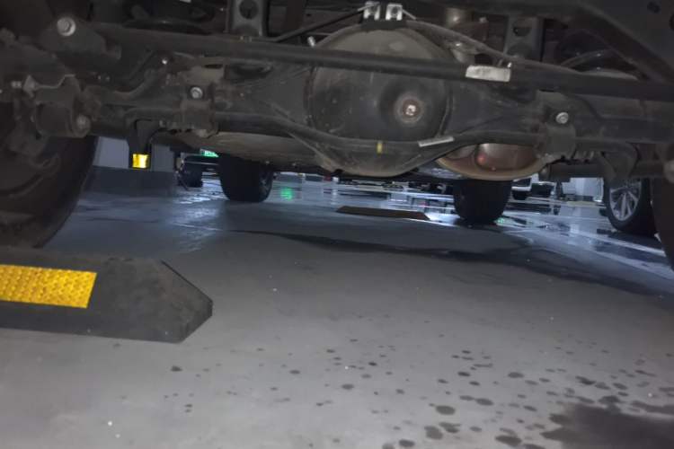 Used Tank 300 2021 Off-Road Edition 2.0T Conqueror Chassis Rear