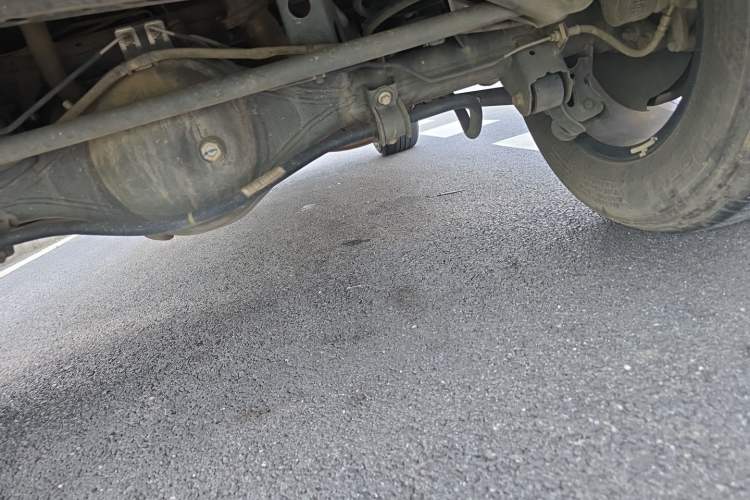 Used Tank 300 2021 Off-Road Edition 2.0T Challenger Chassis Rear