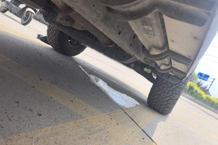 Used Tank 300 2021 Off-Road Edition 2.0T Conqueror Chassis Rear Right