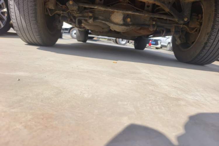 Used Tank 300 2021 City Edition 2.0T—Truly Stylish Chassis Rear
