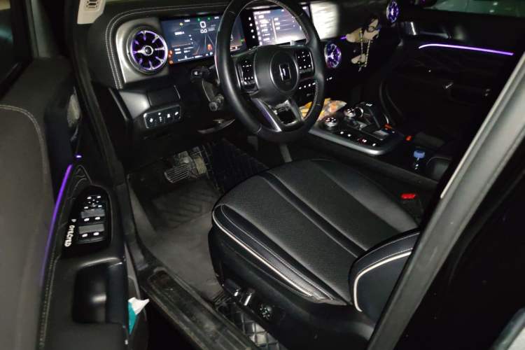 Used Tank 300 2021 Off-Road Edition 2.0T Conqueror Driver Seat