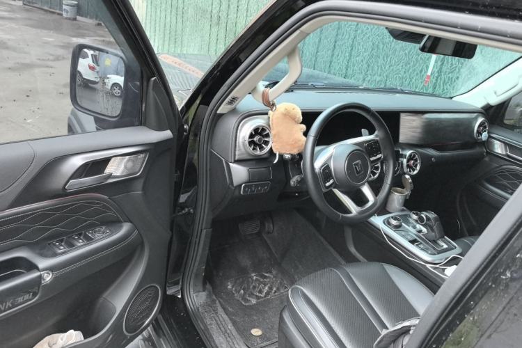 Used Tank 300 2021 Off-Road Edition 2.0T Conqueror Driver Seat