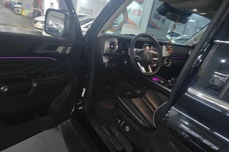 Used Tank 300 2021 Off-Road Edition 2.0T Conqueror Driver Seat