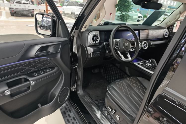 Used Tank 300 2021 City Edition 2.0T My Vision Model Driver Seat