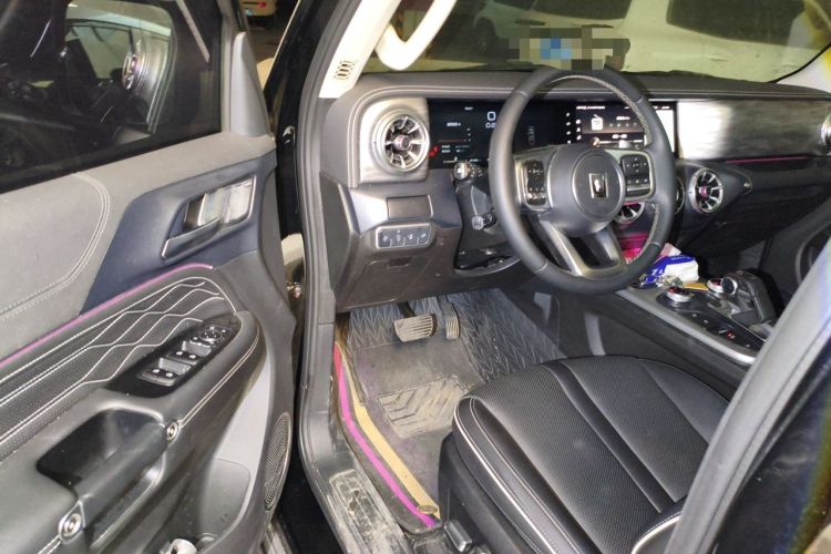 Used Tank 300 2021 Off-Road Edition 2.0T Conqueror Driver Seat
