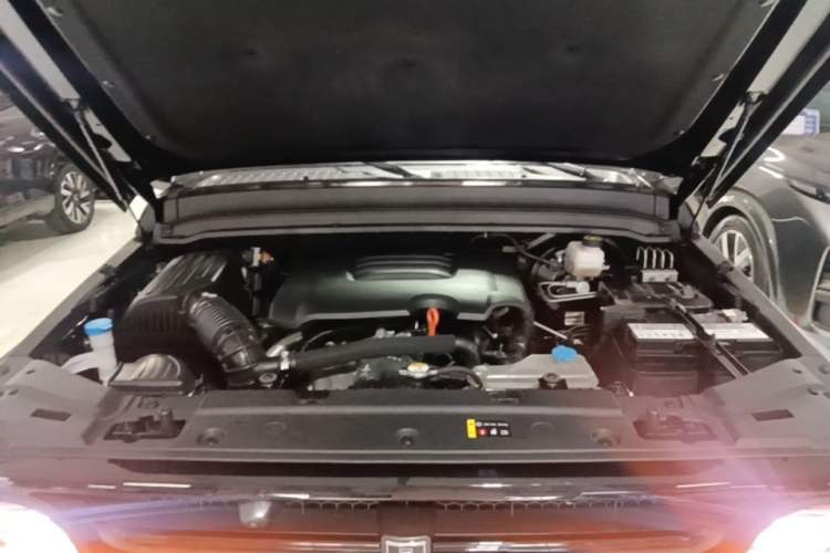 Used Tank 300 2021 Off-Road Edition 2.0T Conqueror Engine Bay
