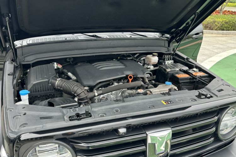 Used Tank 300 2021 Off-Road Edition 2.0T Conqueror Engine Bay
