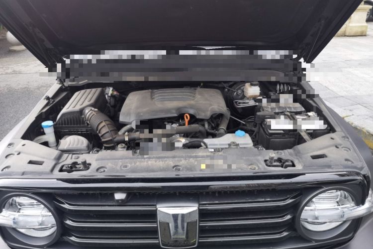 Used Tank 300 2021 Off-Road Edition 2.0T Conqueror Engine Bay